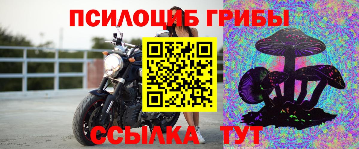 Псилоцибиновые грибы мицелий Лосино-Петровский